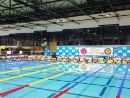 Plavecký bazén  - Plzeň  Slovany